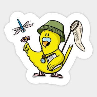 Bird Naturalist Sticker